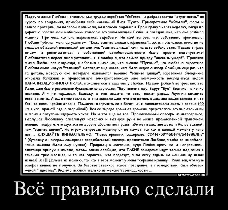 44563883_vsyo-pravilno-sdelali.jpg